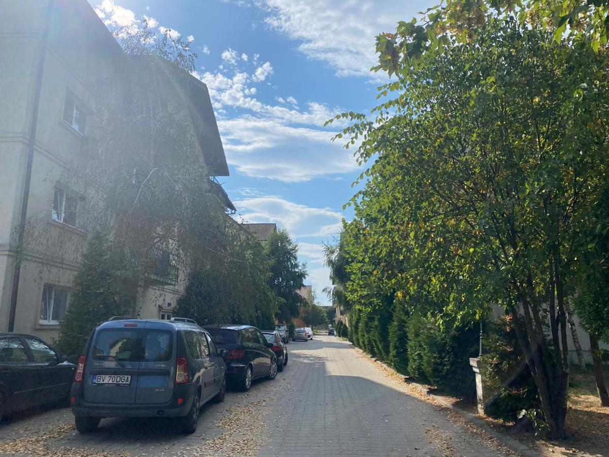Wanderlust Home Cream, Rasnov Apt For 4, Wifi And Free Parking Buitenkant foto